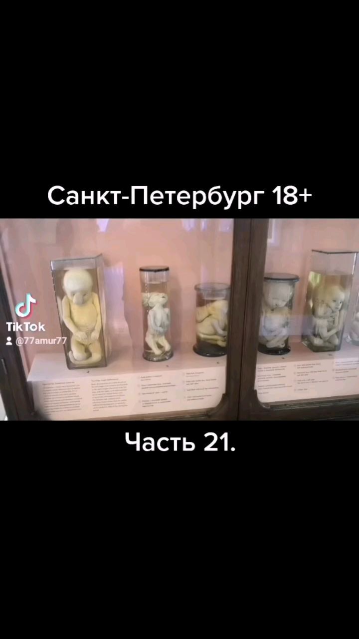 77amur77 в LOOKY. . null