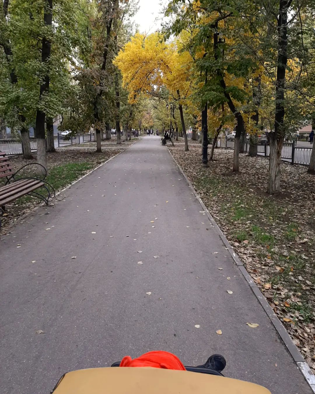 Осенняя прогулка 🍂🍂🍂