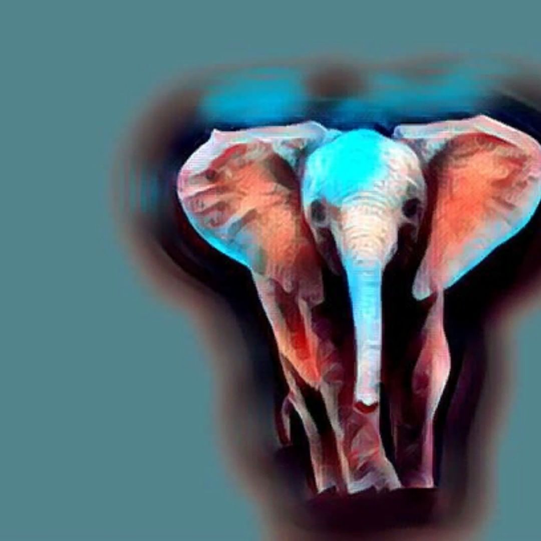 crypto_wealth_niks в LOOKY — Art