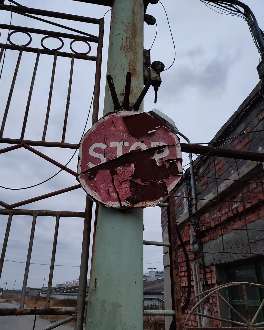 denchik_pankov в LOOKY — Шо как?