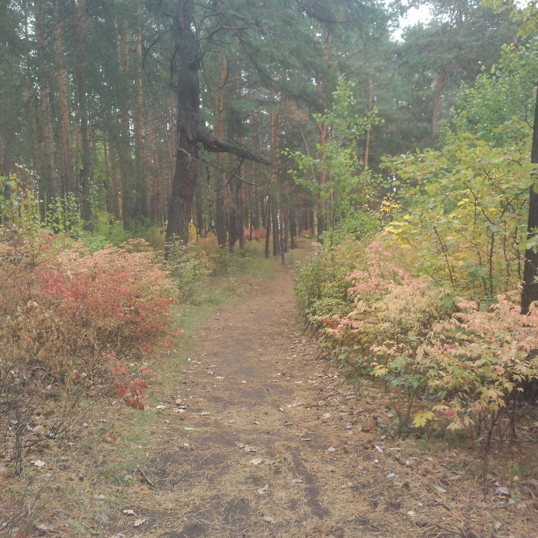 zolotayslawa в LOOKY. . null