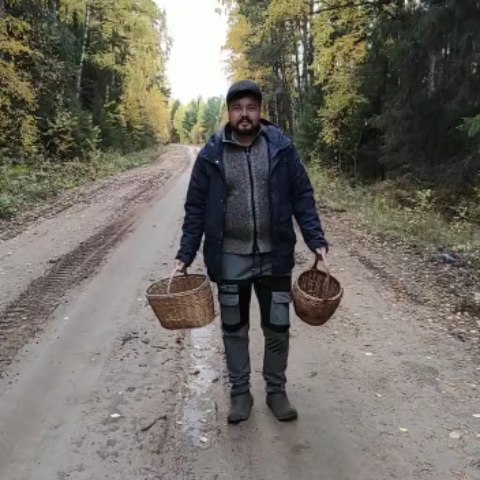 almazvaliev116 в LOOKY. #опята. #опята