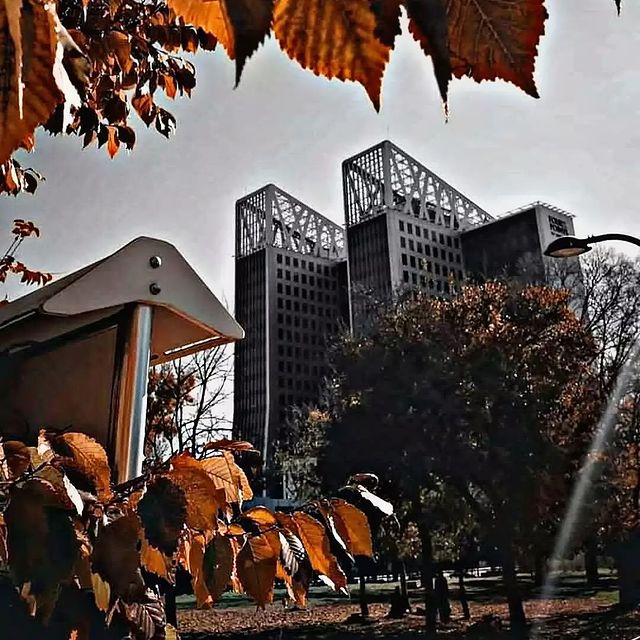 medjahed_youcef в LOOKY. #citytripme,#citytripping,#citytrips,#citytravel,#citytrip_me,#citytrail,#cityadventures,#city_explore,#city_captures,#city_features,#city_in_bnw,#city_life,#citylandscape,#citylifestyle,#citylovers,#citylover,#travelcity,#citylove,#cityart,#cityunit,#cityvibes,#citystyle,#citypark,#cityports,#citystreets,#cityoflove,#citygirl,#crepecity,#citycentre. #citytripme #citytri...