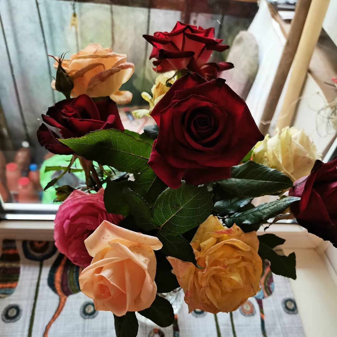 natalia_shipovskai в LOOKY — О, как же розы восхищают,
Их аромат - сердца ласкает,
Вознос