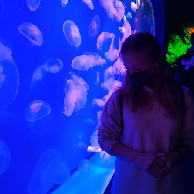 bellery_roiter в LOOKY. #korea,#seoul,#russia,#russiagirl,#love,#like,#cute,#beautiful,#beauty,#strong,#sad,#happy,#korean,#ootd,#fun,#kpop,#exol,#exok. 24 года
Ничего не из...