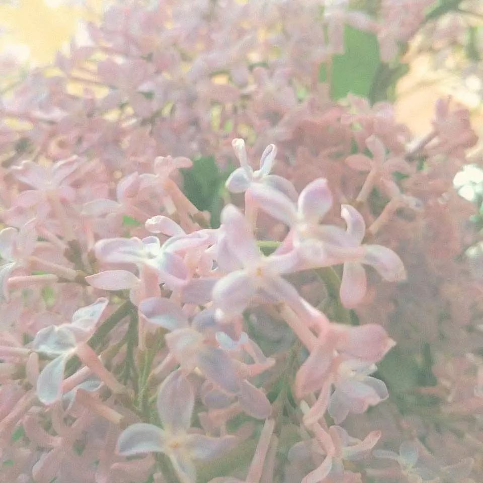 neiroksyu в LOOKY — Такова была моя участь с самого детства.
Все читали на моем 