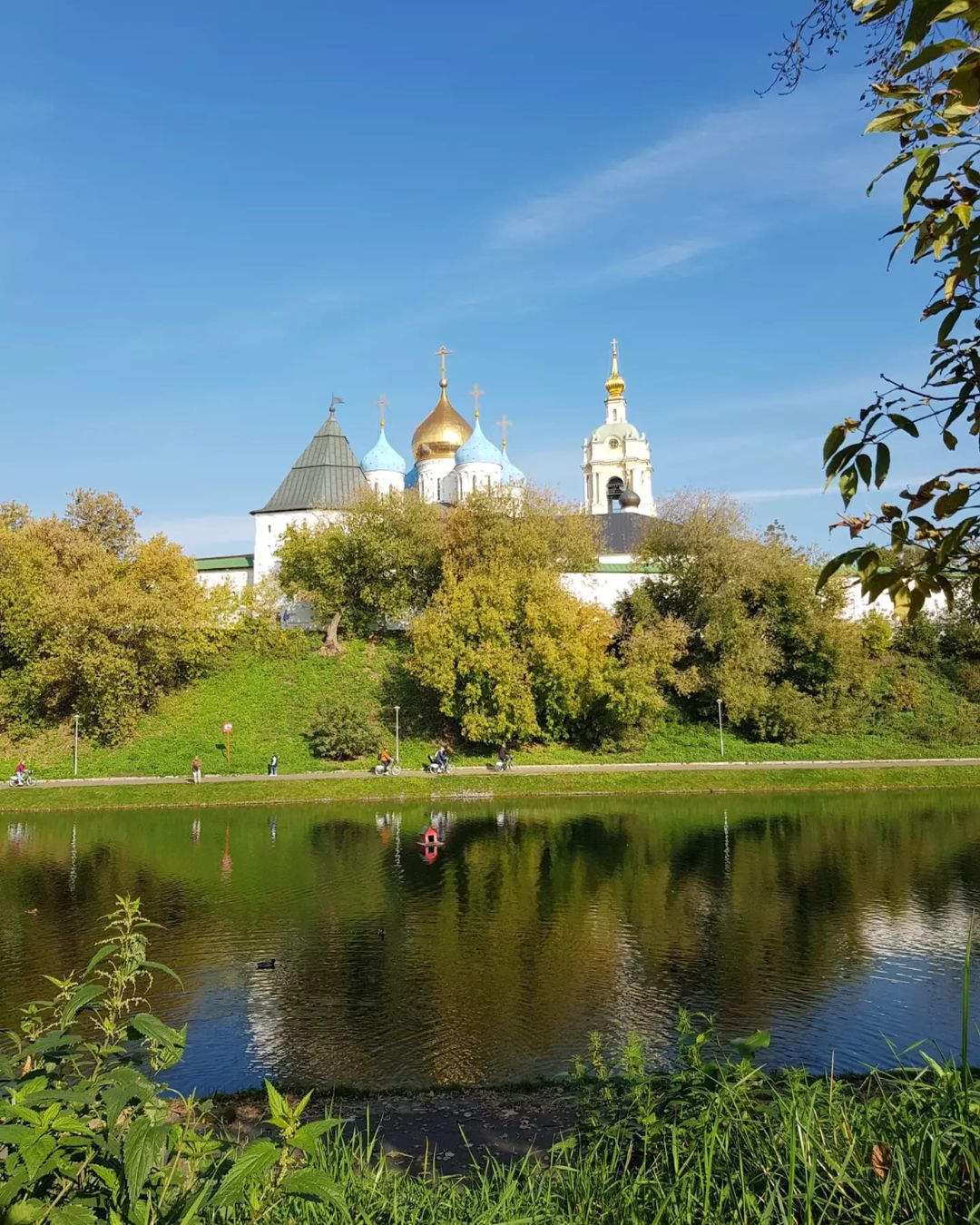 mishelwise в LOOKY — фото 1