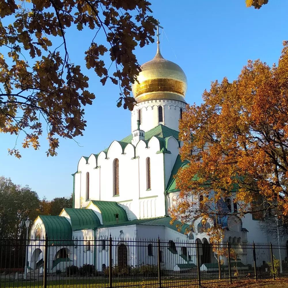 Яркие краски Осени в городе Пушкин 🤩🍁❤️❤️❤️

Погода радует солнечными днями и красивыми видами. В парках, дворах буйство красок!!!🍁🍂🌞🥰🥰🥰

Очень захотелось поделиться этой красотой хоть немножечко 😍🌞🍁🤝🤝🤝

#любимыйгородпушкин#пушкинскаяосень#жизньпрекрасна