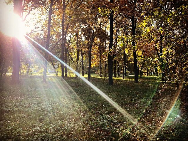 azarika4e в LOOKY. #haveaniceday,#monday,#autumn,#city,#park,#sun,#light. Monday 💛🧡💚 #havea...