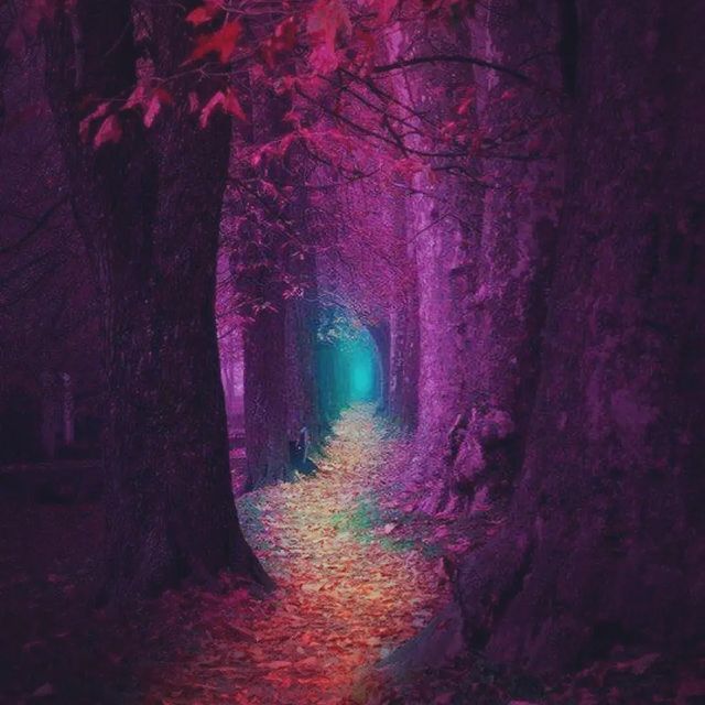 elena_krivets1966 в LOOKY. . Прошла с Евгенией @k...