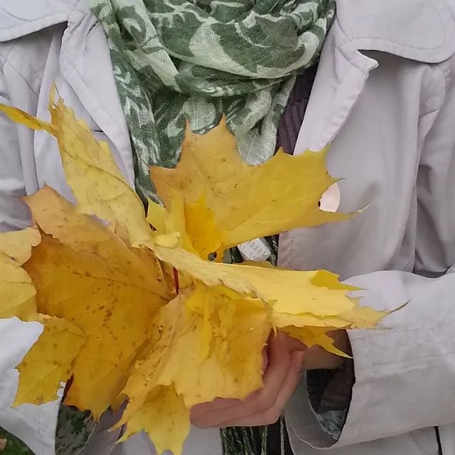 olya.psysoul в LOOKY. . Спуститься на землю....