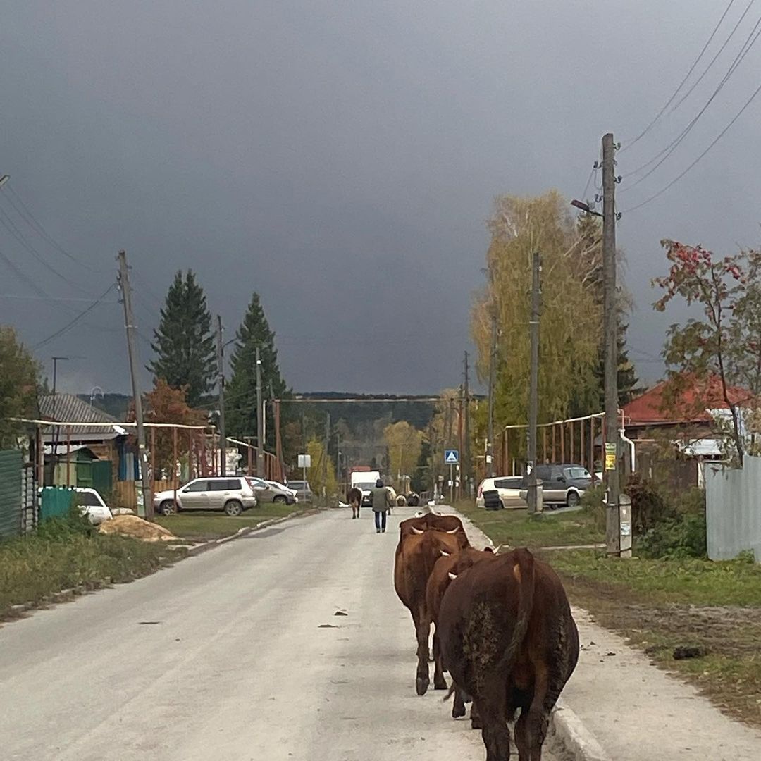 Снижение среднесуточной температуры и отвратительно слякотная осень этого года как-то сами собой направляют мысли к любимому празднику😁 #осень2021
