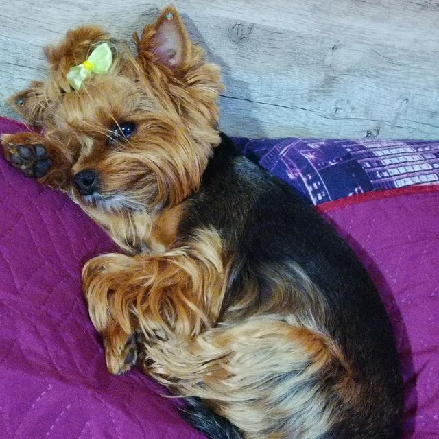 liudmilapupysheva в LOOKY. #КрымнашиМосин. Решила сделать отдел...