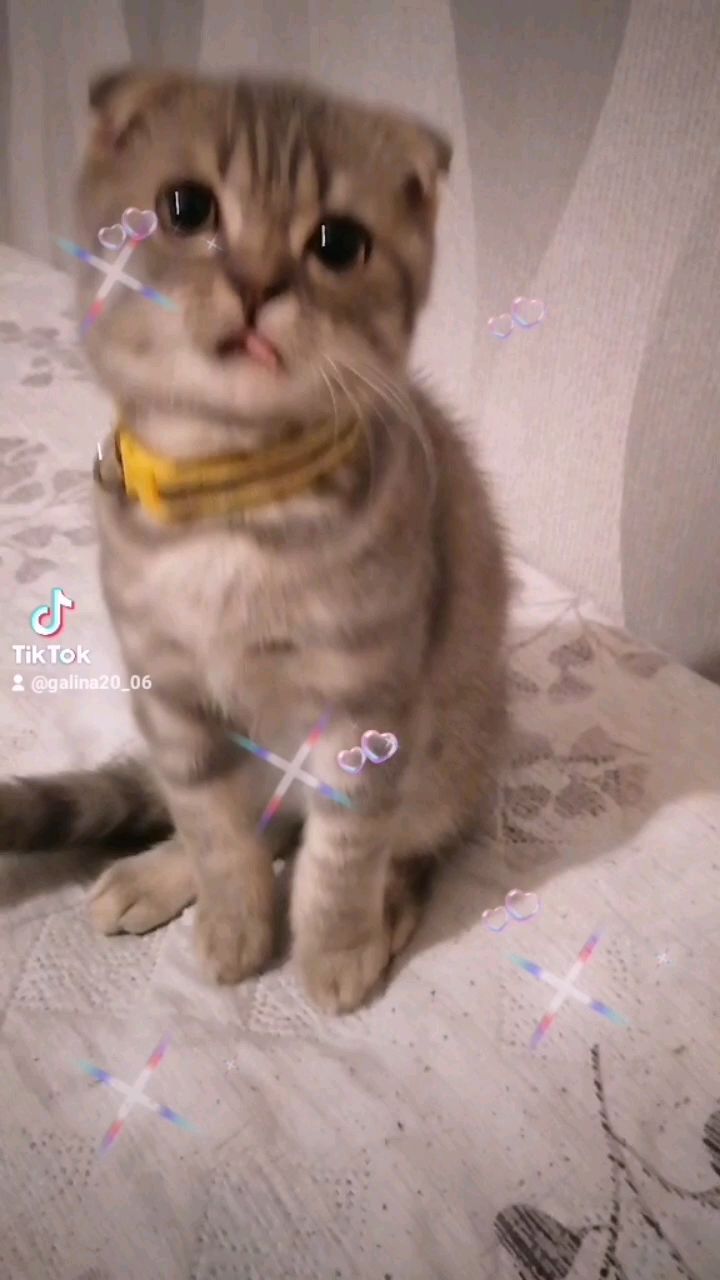 _galinapotapova_ в LOOKY. . null