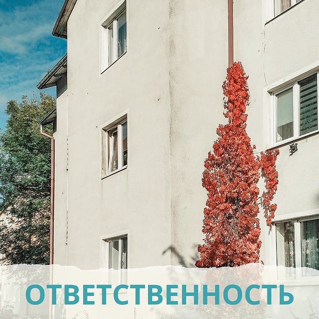 jane.negovorova в LOOKY. #школапродюсераТМ. ОТВЕТСТВЕННОСТЬ

Как...