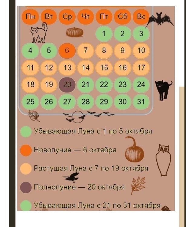 onmisterium в LOOKY — Для тех, кто в теме волшебства 🔥
Лунный календарь на октябр