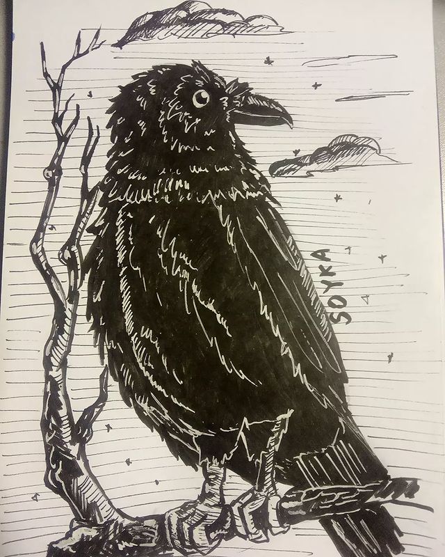 art_soyka_ в LOOKY. #inktober,#inktober2021,#inktoberbest,#liner,#raven,#art,#artwork,#draw,#drawing,#sketchbook,#sketch,#рисунок,#ворон,#скетч,#скетчинг,#скетчбук,#инктобер,#инктобер2021,#арт. @inktober , 5 день, ...