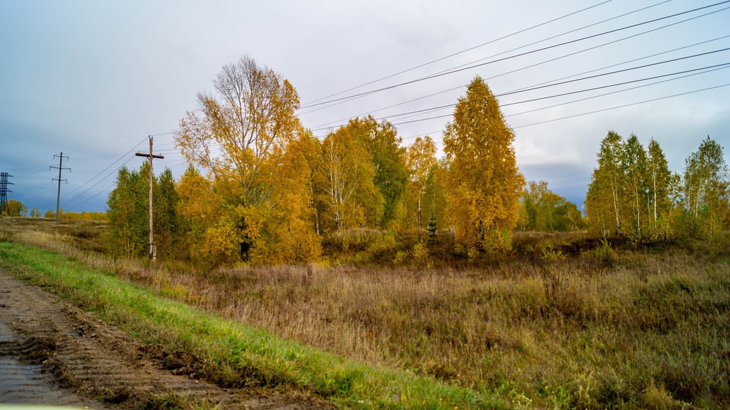 _oleg.olegovich_ в LOOKY. . Унылая пора! Очей оч...