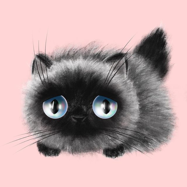 art.by.shigure в LOOKY. #digitaldrawing,#catillustrations,#catillustration,#catdrawing,#catdraw,#catdrawings,#childrenillustration,#childrenillustrations,#evefarbschool. And one more 🐈‍⬛ fo...