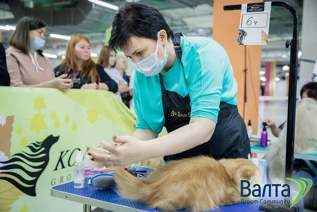 mycatgrooming в LOOKY. #выставочныйгрумингкошек,#шоугрумингкошек,#экспрессгрумингкошек,#конкурсгрумингакошек,#конкурсгрумеровкошек
,#грумингфест,#грумингфест2021,#catgroomer,#catgrooming,#showgrooming,#catshowgrooming,#groomerscompetition,#catgroomerscompetition,#catgroomingcompetition,#groomerscontest,#catgroomingcontest,#catgroomerscontest,#groomingfest,#groomingfest2021. Здесь мог быть пафос...