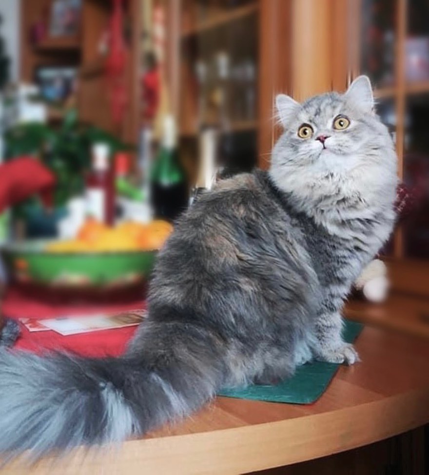 lenafold в LOOKY — фото 2