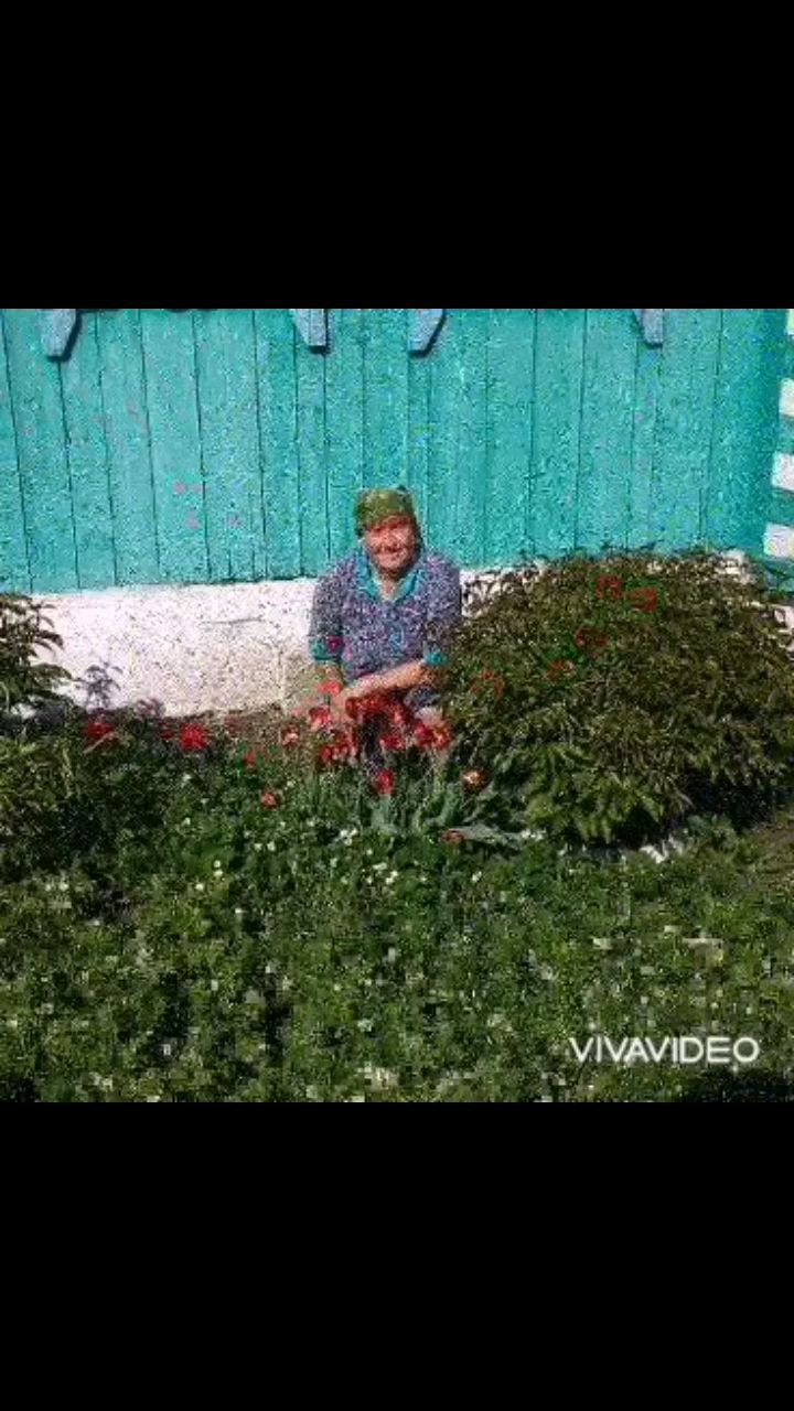 liliya_zinnatullina_ в LOOKY. . Кадерле әниебез, @gu...