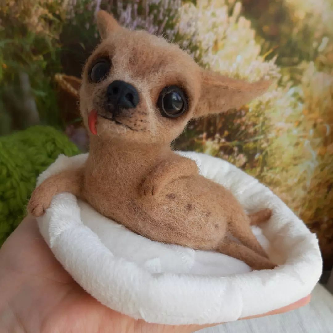 kovkafreedom в LOOKY — фото 2