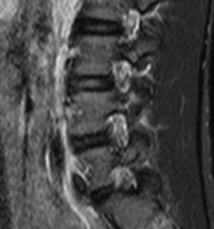 russianradiology в LOOKY — фото 8