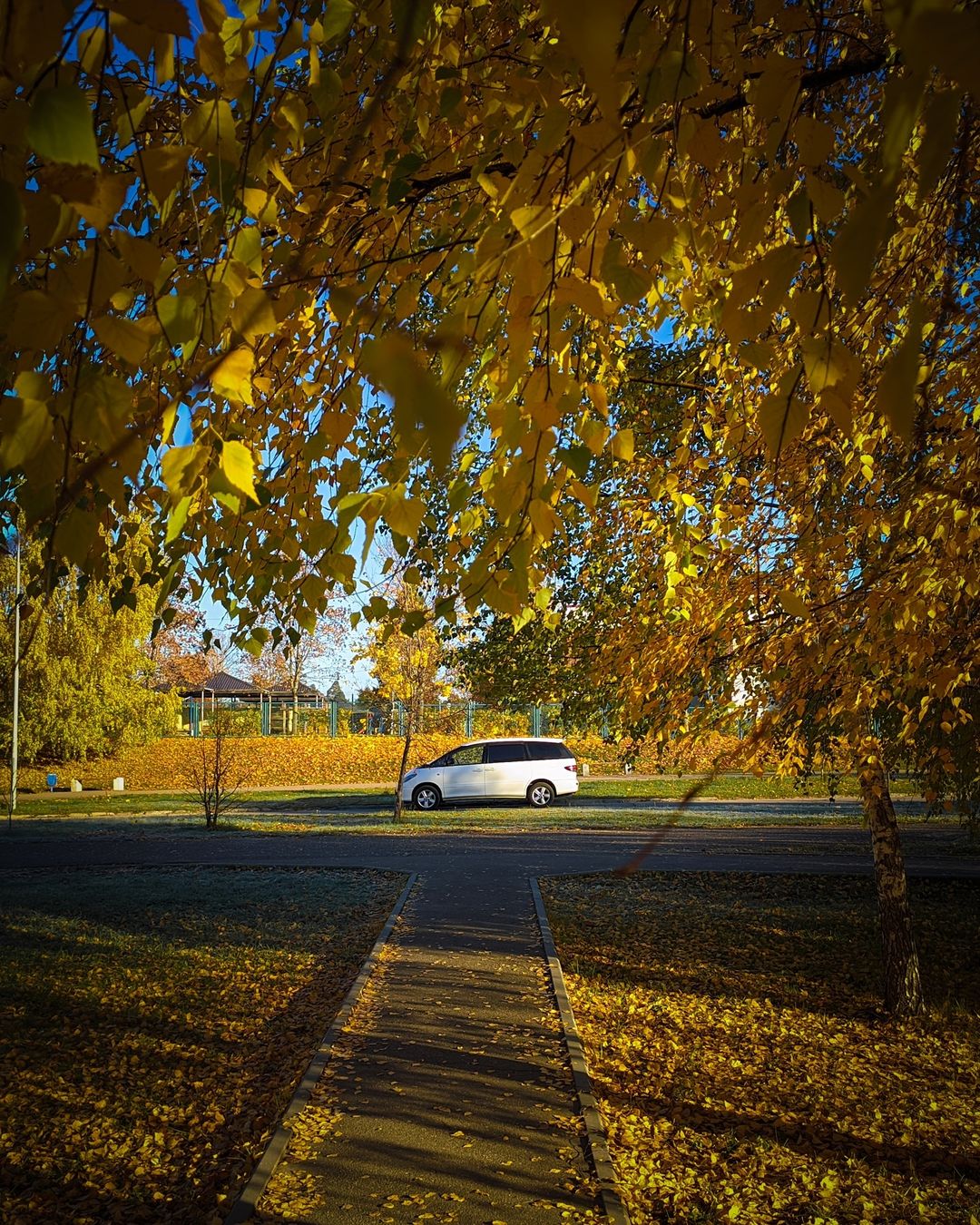 romanvinogradov2014 в LOOKY — 🍂🍁🍂🍁🍂🍁🍂