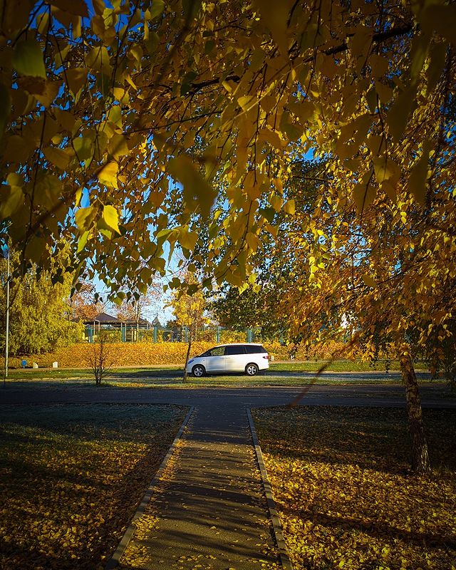 romanvinogradov2014 в LOOKY. . 🍂🍁🍂🍁🍂🍁🍂