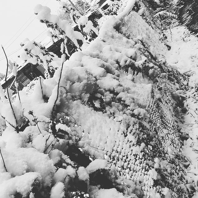 ivan.photo_nvkz в LOOKY. #sneg,#pocox3,#snow. #sneg #pocox3 #snow