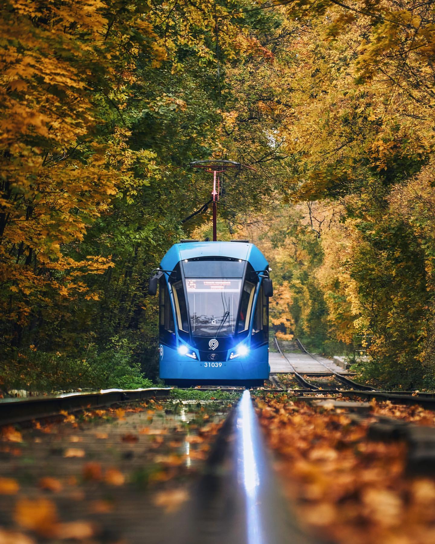 egorgoose в LOOKY. . 🍁🚊
