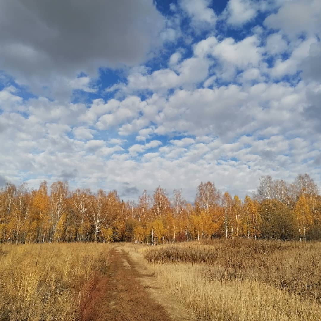 leshcheva_tatiana в LOOKY — Октябрь — время утепляться теплыми свитерами, горячим чаем и