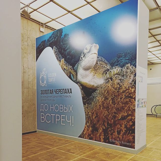 darya_art2020 в LOOKY. #третьяковскаягалерея,#третьяковканакрымскомвалу,#новаятретьяковка,#золотаячерепаха,#goldturtle. Золотая черепаха 202...