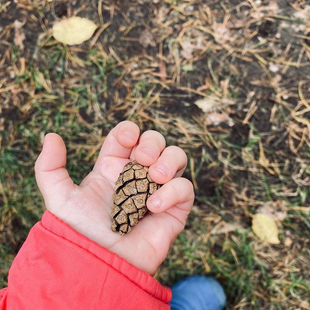 my.q.kate в LOOKY. . дышать🍂💛