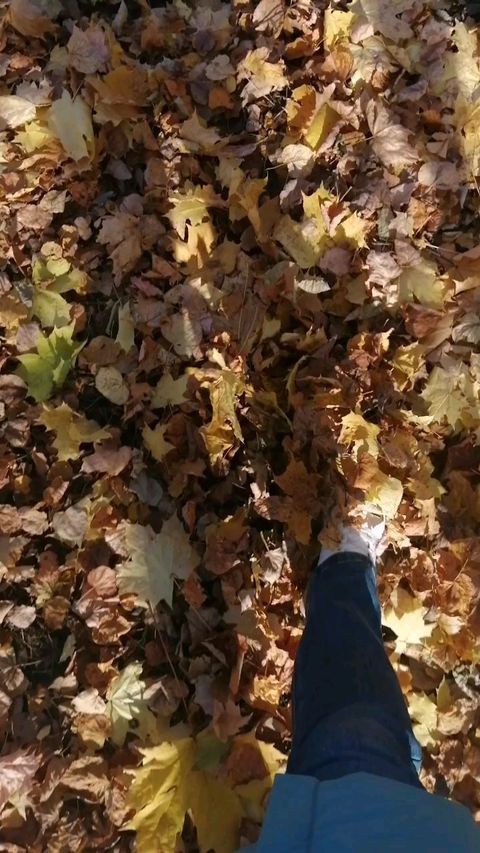 gal.in321 в LOOKY. . @park.ramenskoye
