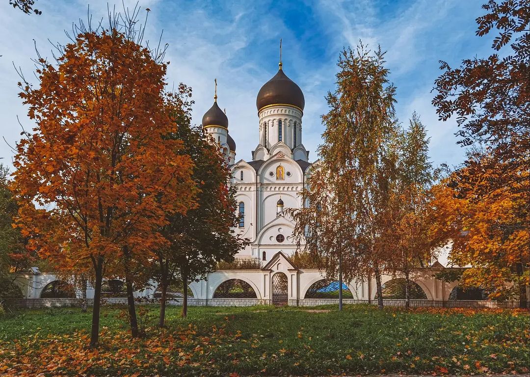 vyachill_out в LOOKY — фото 3