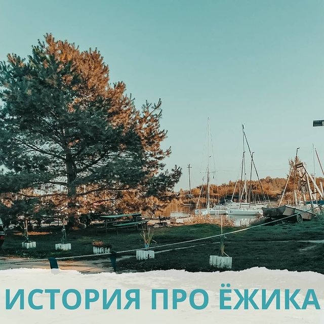 jane.negovorova в LOOKY. . По дороге на нашу се...