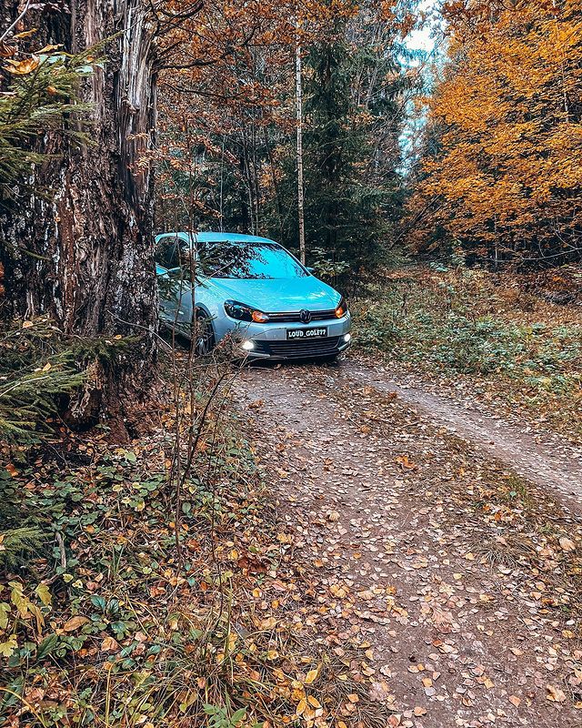 loud_golf77 в LOOKY. . Немного осени🍂 вам ...