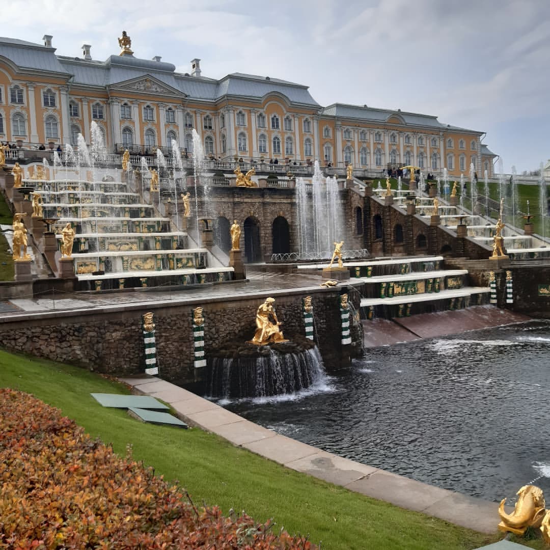 betfounder в LOOKY — #peterhof