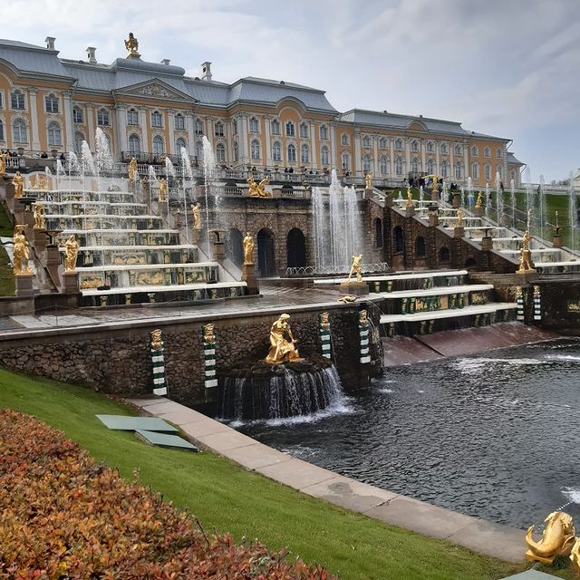 betfounder в LOOKY. #peterhof. #peterhof