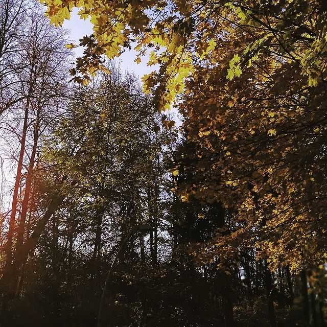 _._.lizx._._ в LOOKY. . 10.10🍂🤎
Я так хочу...