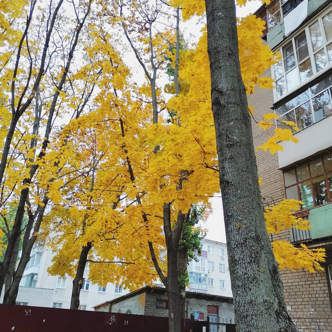 kasperovski09 в LOOKY — фото 3