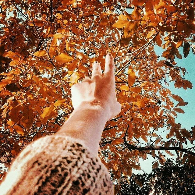 anya.love_life в LOOKY — Да кто я такая, и что могу?

Приблизительно такие мысли были