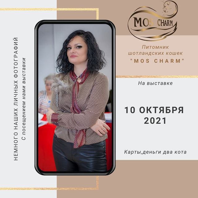 Вислоухие Шотландские котята в LOOKY. #moscharmcattery. Немного наших личных...
