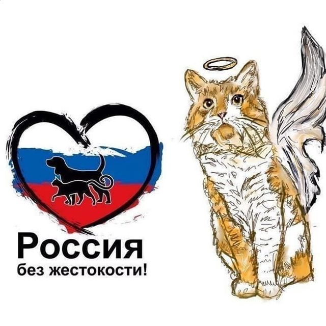 cat_musia_star_and_sima в LOOKY. #ямыкузя,#срокзакузю,#кузюневернутьноихнакажем,#нетнасилию,#живодероввтюрму. ВНИМАНИЕ! ЗАПУСКАЕМ ...