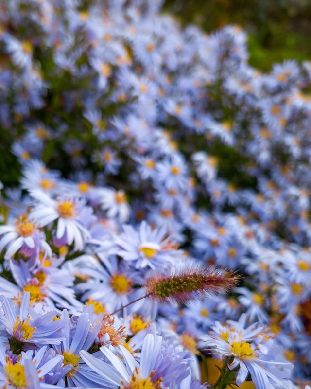antipka48 в LOOKY. . null