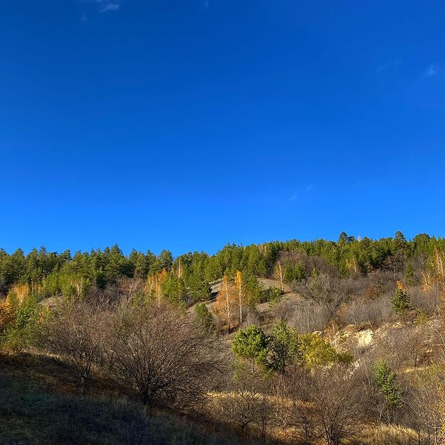 larusmax в LOOKY. #выходныевсогласии. Вчера поймали послед...
