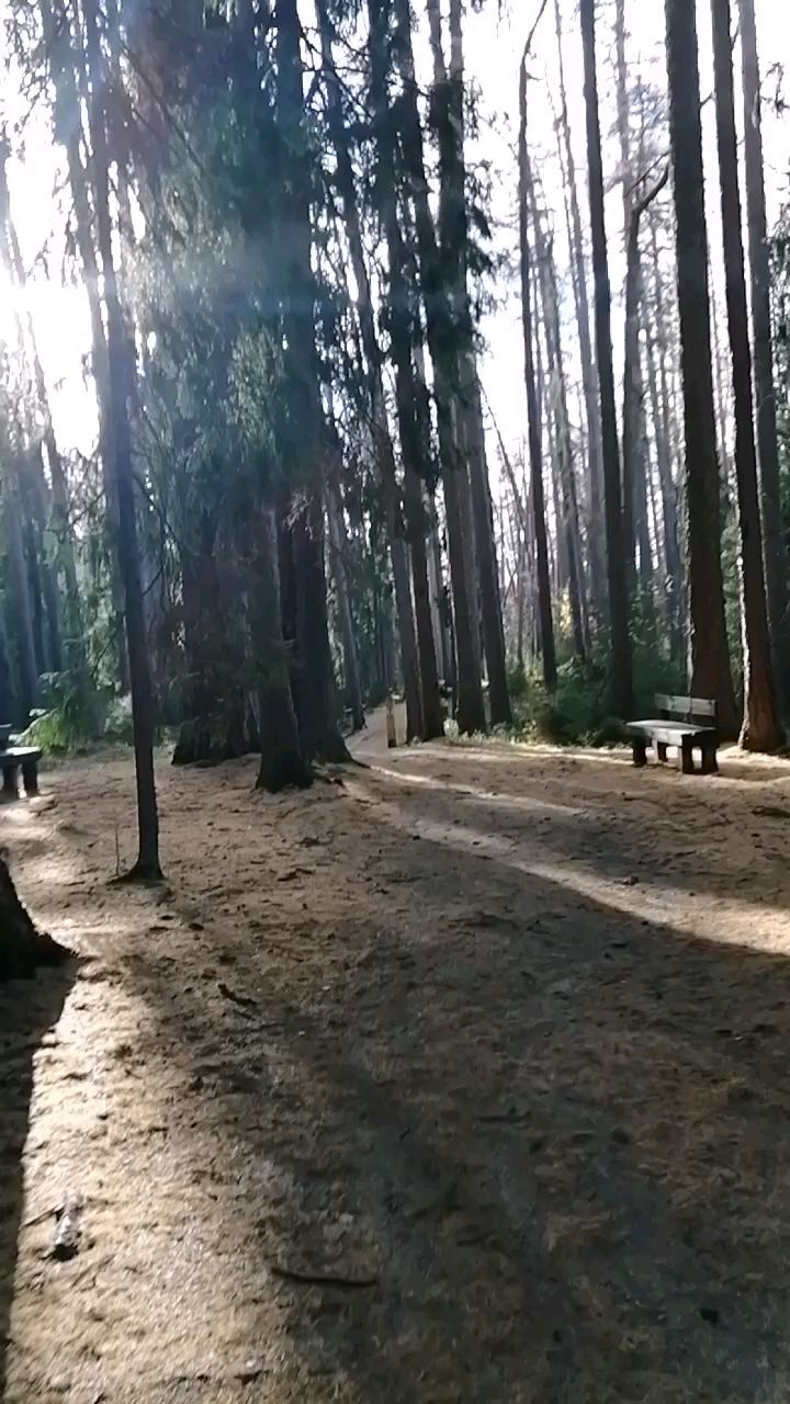 dyadungalina в LOOKY. . Прекрасная Линдуловс...