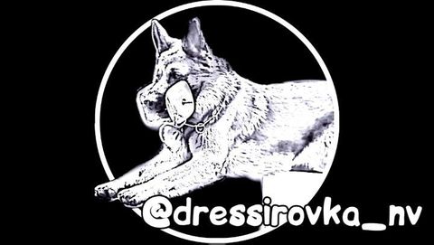dressirovka_nv in LOOKY. . Нам сегодня год!!!
....